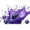 Blueberry Blast 